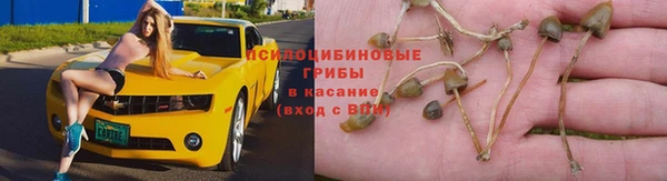 MDMA Белокуриха