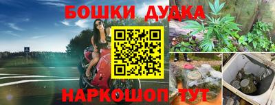 молекула духа Будённовск