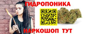 шишки Бузулук