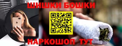 молекула духа Будённовск