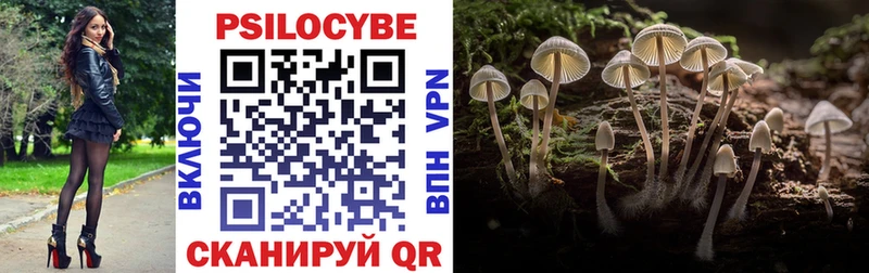 МЕГА ссылка  купить закладку  Гулькевичи  Псилоцибиновые грибы мицелий 