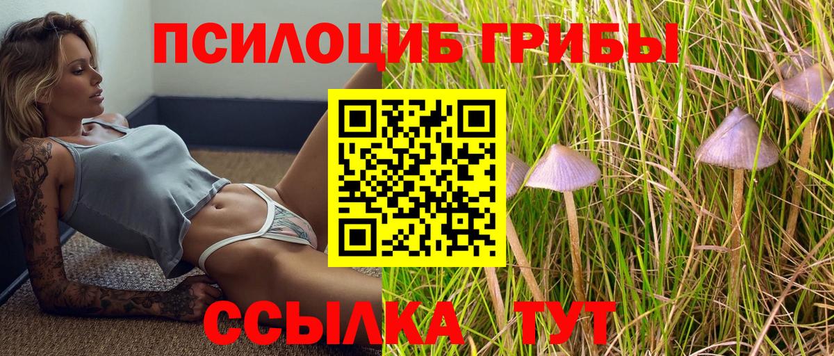 Галлюциногенные грибы GOLDEN TEACHER  Галлюциногенные грибы мухоморы  Гулькевичи  Вход с VPN 