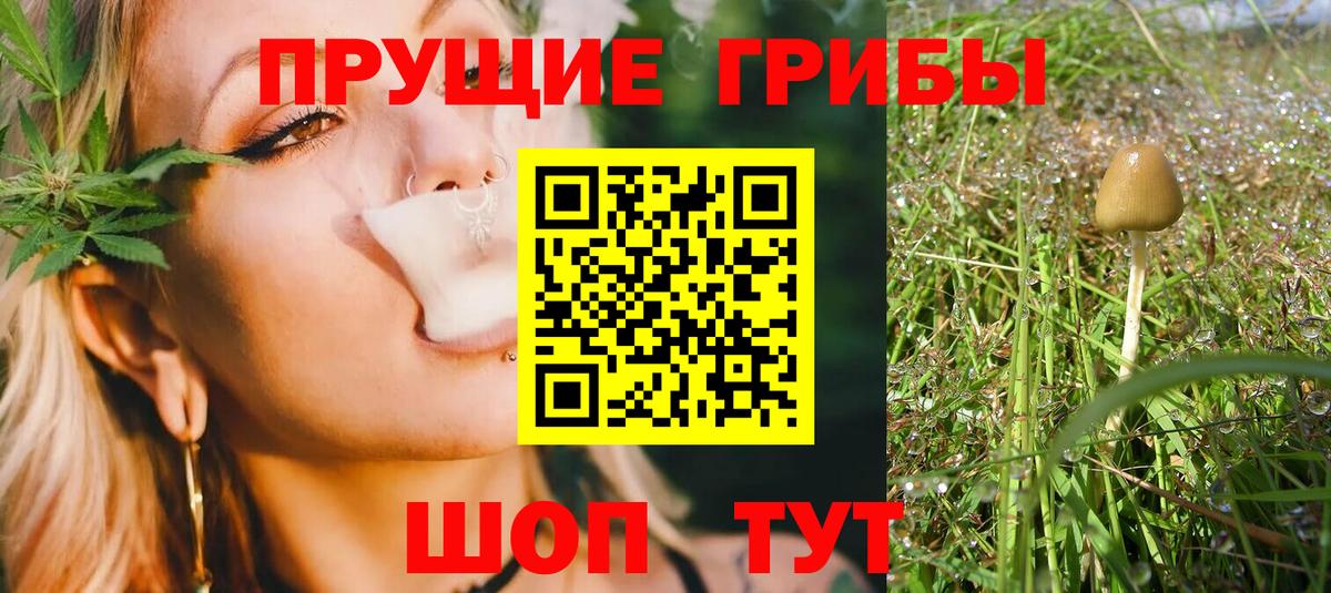 Галлюциногенные грибы Magic Shrooms Гулькевичи