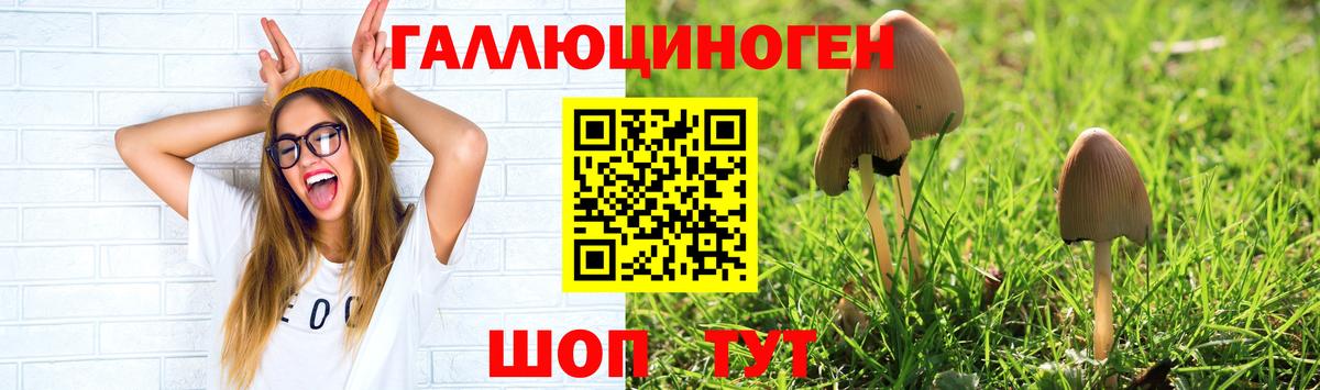 Псилоцибиновые грибы ЛСД  где купить   Гулькевичи 